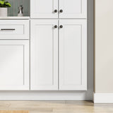 Whalen CLICK-IT Enfield 24-in W x 34.5-in H x 24-in D Classic White Birch Base Ready To Assemble Plywood Cabinet (Raised Panel Shaker Door Style)