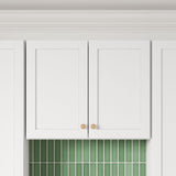 Whalen CLICK-IT Enfield 30-in W x 24-in H x 12-in D Classic White Birch Wall Ready To Assemble Plywood Cabinet (Raised Panel Shaker Door Style)