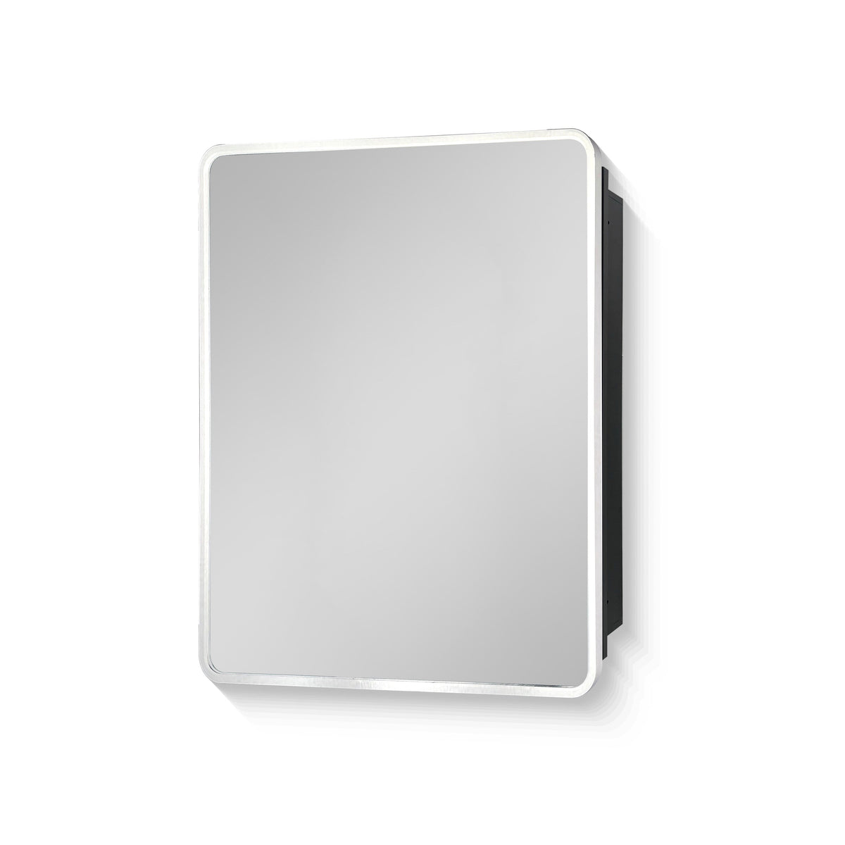 WELLFOR 20-in x 28-in Surface/Recessed Mount Silver Mirrored Medicine Cabinet