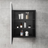 WELLFOR 20-in x 28-in Surface/Recessed Mount Silver Mirrored Medicine Cabinet