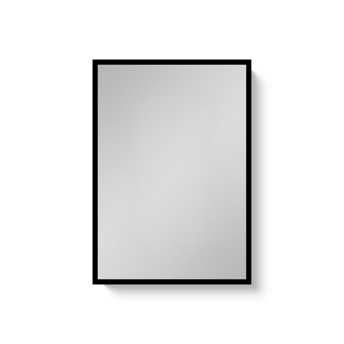 WELLFOR 16-in x 24-in Surface/Recessed Mount Black Mirrored Medicine Cabinet