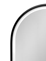 WELLFOR AO 21-in x 31-in Lighted LED Fog Free Surface Mount Black Mirrored Oval Soft Close Medicine Cabinet