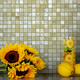 Apollo Tile Skosh Stone Gray 11-1/2-in x 11-1/2-in Glossy Glass Uniform Squares Floor and Wall Tile (18.69-sq. ft/ Carton)