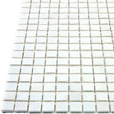 Apollo Tile Skosh Dolphine Gray 11-1/2-in x 11-1/2-in Glossy Glass Uniform Squares Floor and Wall Tile (18.69-sq. ft/ Carton)