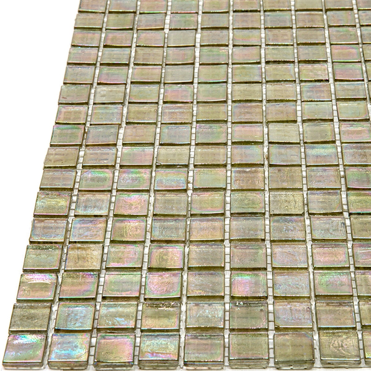 Apollo Tile Skosh Yellowish Gray 11-1/2-in x 11-1/2-in Glossy Glass Uniform Squares Floor and Wall Tile (18.69-sq. ft/ Carton)