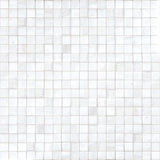 Apollo Tile Skosh White Dove 11-1/2-in x 11-1/2-in Glossy Glass Uniform Squares Floor and Wall Tile (18.69-sq. ft/ Carton)