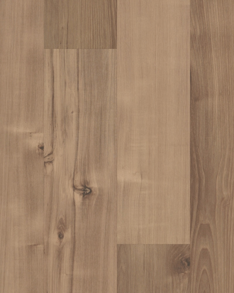 Shaw Westwork Duval Brown 12-mil x 6-in W x 48-in L Waterproof Glue Down Luxury Vinyl Plank Flooring (41.72-sq ft/ Carton)