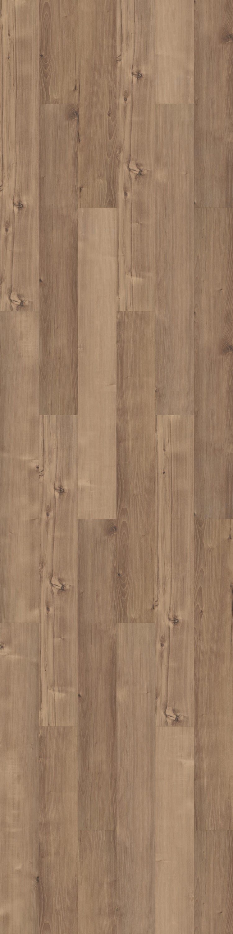 Shaw Westwork Duval Brown 12-mil x 6-in W x 48-in L Waterproof Glue Down Luxury Vinyl Plank Flooring (41.72-sq ft/ Carton)