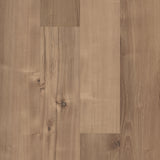 Shaw Westwork Duval Brown 12-mil x 6-in W x 48-in L Waterproof Glue Down Luxury Vinyl Plank Flooring (41.72-sq ft/ Carton)