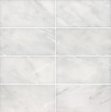 Satori Venatino 3-in x 6-in Polished Natural Stone Subway Wall Tile (0.96-sq. ft/ Carton)