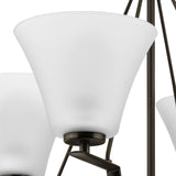 Progress Lighting Bravo 4-Light Antique Bronze Transitional Chandelier
