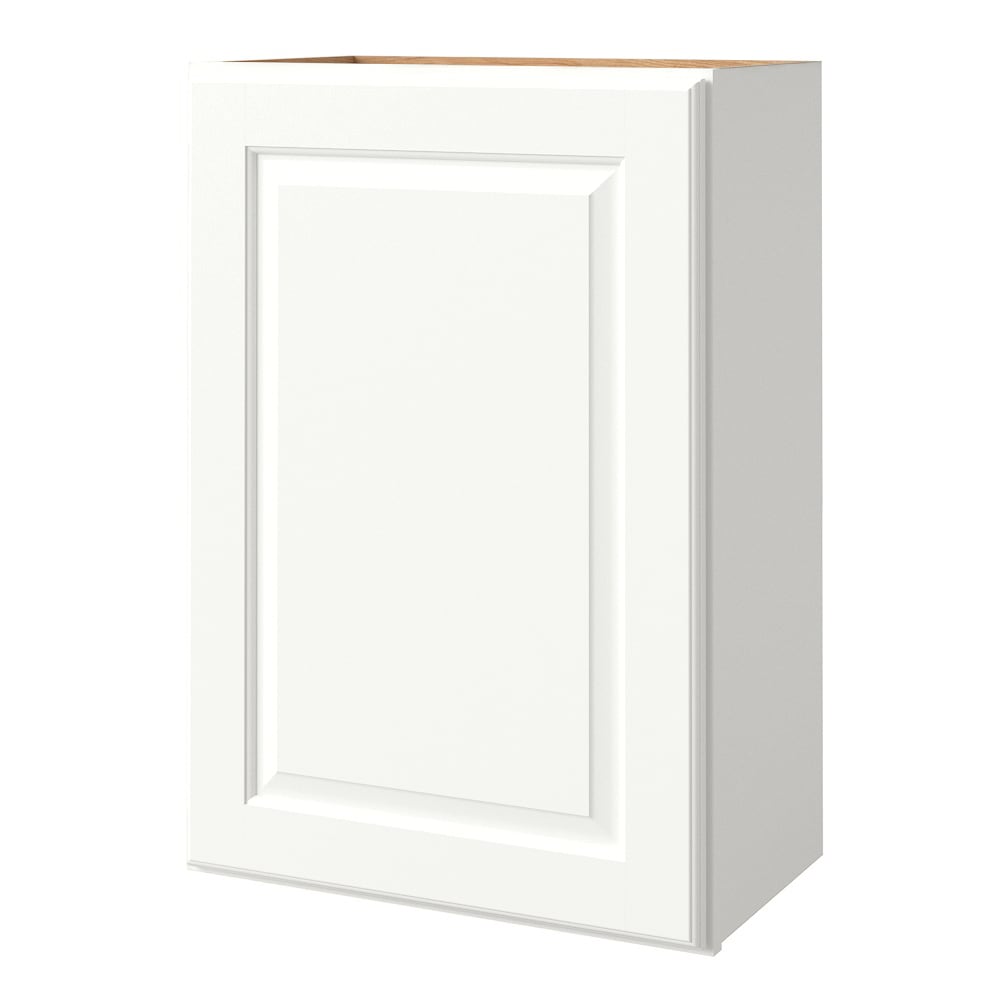 allen + roth Tilson 21-in W x 30.125-in H x 12-in D Linen Wall Fully Assembled Cabinet (Raised Panel Square Door Style)