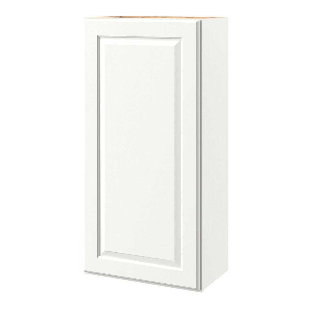 allen + roth Tilson 21-in W x 42.125-in H x 12-in D Linen Wall Fully Assembled Cabinet (Raised Panel Square Door Style)