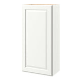 allen + roth Tilson 21-in W x 42.125-in H x 12-in D Linen Wall Fully Assembled Cabinet (Raised Panel Square Door Style)