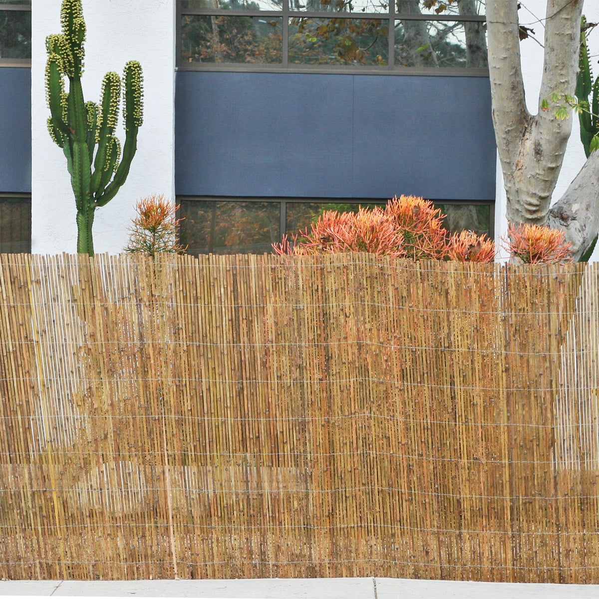 Backyard X-Scapes 6-ft x 16-ft Bamboo Semi-privacy No Dig Fence Panel
