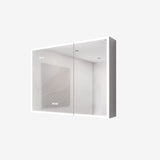 Forclover 36-in x 24-in Lighted LED Fog Free Surface Mount Silver Mirrored Medicine Cabinet