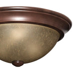 Project Source 2-Pack 13-in Satin Nickel Traditional Flush Mount Light - Super Arbor