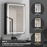 WELLFOR BG 30-in x 30-in Lighted LED Fog Free Surface Mount Black Mirrored Soft Close Medicine Cabinet
