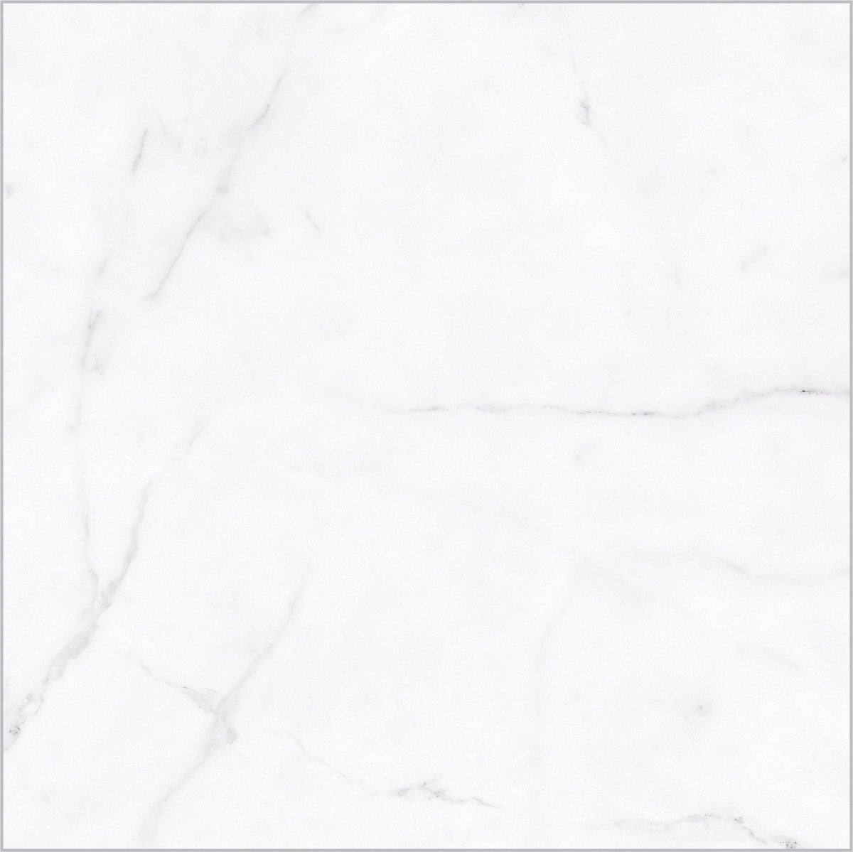 Style Selections Calacata White Calacata White 20-in x 20-in Glazed Ceramic Marble look Floor and Wall Tile product image