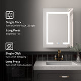 ExBrite Savio 20-in x 26-in Lighted LED Fog Free Surface/Recessed Mount Matte Black Mirrored Soft Close Medicine Cabinet with Outlet