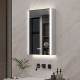 Forclover 20-in x 30-in Lighted LED Fog Free Surface Mount Aluminum Mirrored Soft Close Medicine Cabinet with Outlet