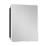 WELLFOR 20-in x 28-in Surface/Recessed Mount Silver Mirrored Medicine Cabinet
