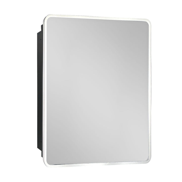 WELLFOR 20-in x 28-in Surface/Recessed Mount Silver Mirrored Medicine Cabinet