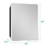 WELLFOR 20-in x 28-in Surface/Recessed Mount Silver Mirrored Medicine Cabinet