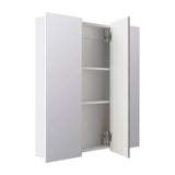 Style Selections 30.25-in x 29.75-in Square Surface Mirrored Medicine Cabinet