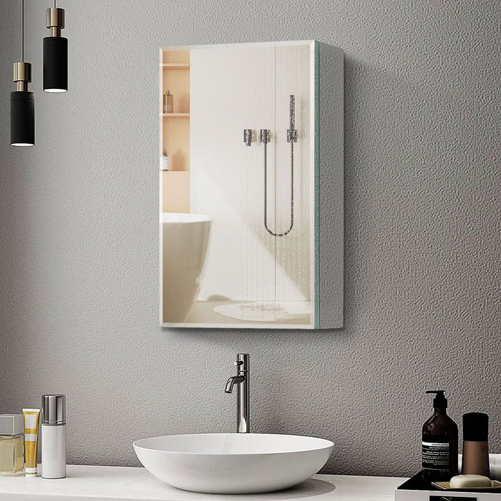 WELLFOR AO 20-in x 26-in Surface/Recessed Mount Silver Mirrored Soft Close Medicine Cabinet
