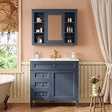 AAZJ CMR 35-in x 27.5-in Surface Mount Navy Blue Mirrored Medicine Cabinet