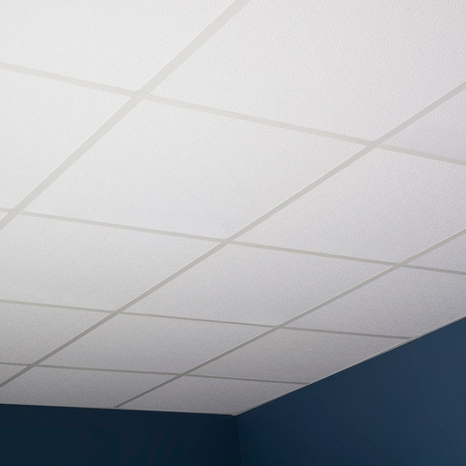 Genesis 2-ft x 2-ft Stucco Pro White PVC Drop Ceiling Tile (1-Pack, 4-sq ft / Case)