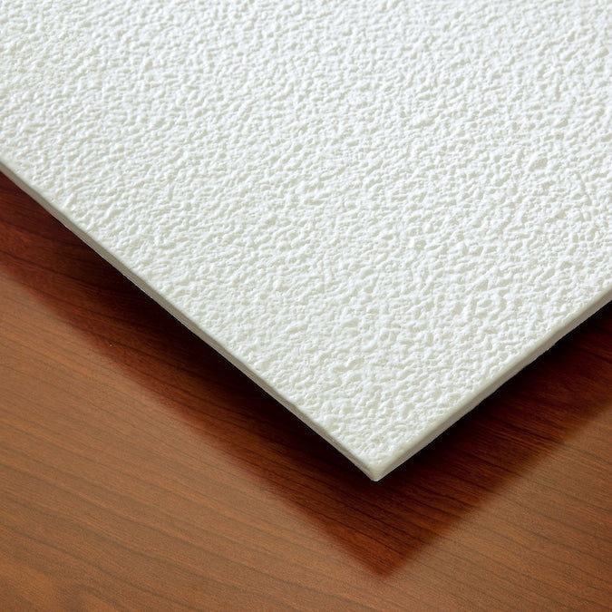 Genesis 2-ft x 2-ft Stucco Pro White PVC Drop Ceiling Tile (1-Pack, 4-sq ft / Case)