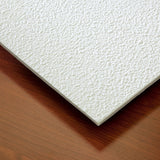 Genesis 2-ft x 2-ft Stucco Pro White PVC Drop Ceiling Tile (1-Pack, 4-sq ft / Case)