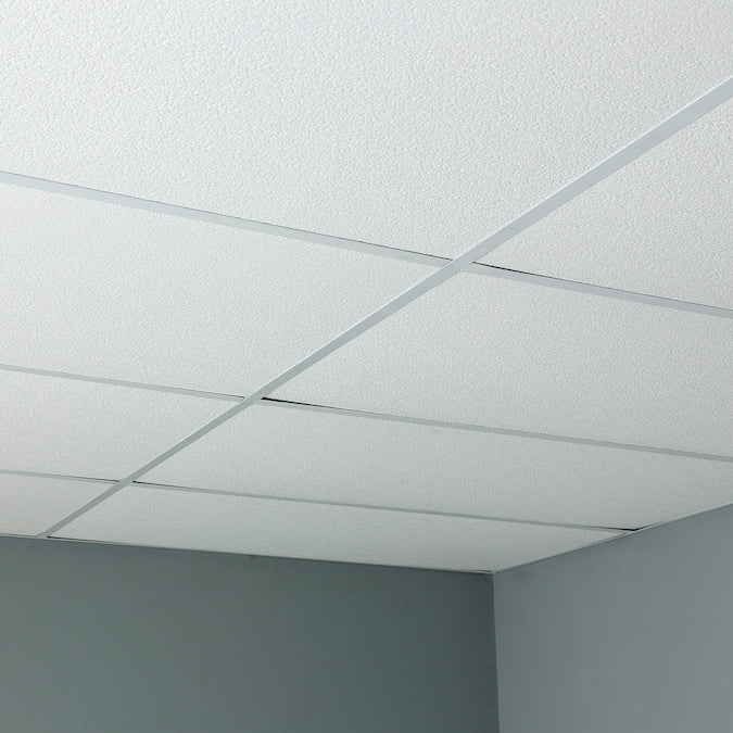 Genesis 4-ft x 2-ft Stucco Pro White PVC Drop Ceiling Tile (1-Pack, 8-sq ft / Case)