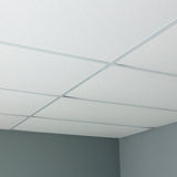 Genesis 4-ft x 2-ft Stucco Pro White PVC Drop Ceiling Tile (1-Pack, 8-sq ft / Case)