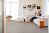 STAINMASTER Essentials Blue Diamonds I 12-ft Dusty Trail Textured Indoor Carpet