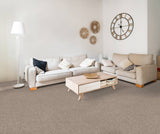 STAINMASTER Essentials Blue Diamonds I Tree Bark 12-ft Textured Indoor Carpet, 48.8-oz Face Weight