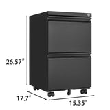 Sumyeg File cabinet Black 2-Drawer 15.35-in File Cabinet