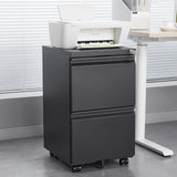 Sumyeg File cabinet Black 2-Drawer 15.35-in File Cabinet