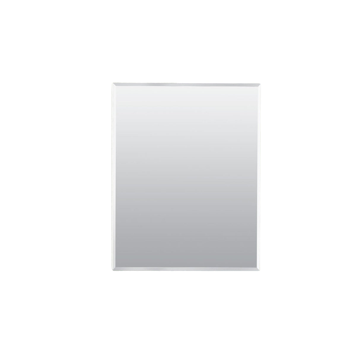 Project Source 16-in x 20-in Rectangle Surface/Recessed Frameless Mirrored Medicine Cabinet, White Plastic Body