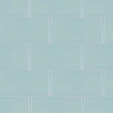 Elida Ceramica Skylight Subway 3-in x 8-in Glossy Glass Subway Wall Tile