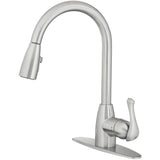 Project Source Tucker Stainless Steel 1-Handle Deck-Mount Pull-Down Kitchen Faucet with Sprayer (Deck Plate Included)