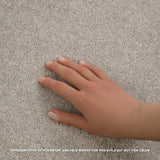 STAINMASTER Essentials Blue Diamonds I 12-ft Dreamy Textured Carpet (Indoor)