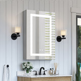 WELLFOR 20-in x 30-in x 4.6-in Silver Soft Close Bathroom Wall Cabinet