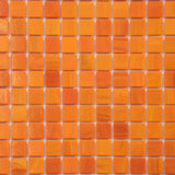 Apollo Tile Dune Fire Orange 12-in x 12-in Glossy Glass Uniform Squares Floor and Wall Tile (20-sq. ft/ Carton)