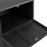 SINOFURN Black 2-Drawer 19.7-in File Cabinet