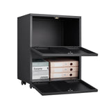 SINOFURN Black 2-Drawer 19.7-in File Cabinet