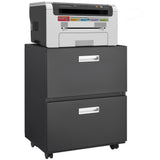 SINOFURN Black 2-Drawer 19.7-in File Cabinet