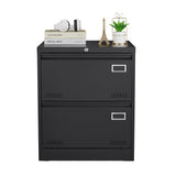 SINOFURN Black 2-Drawer 23.6-in File Cabinet